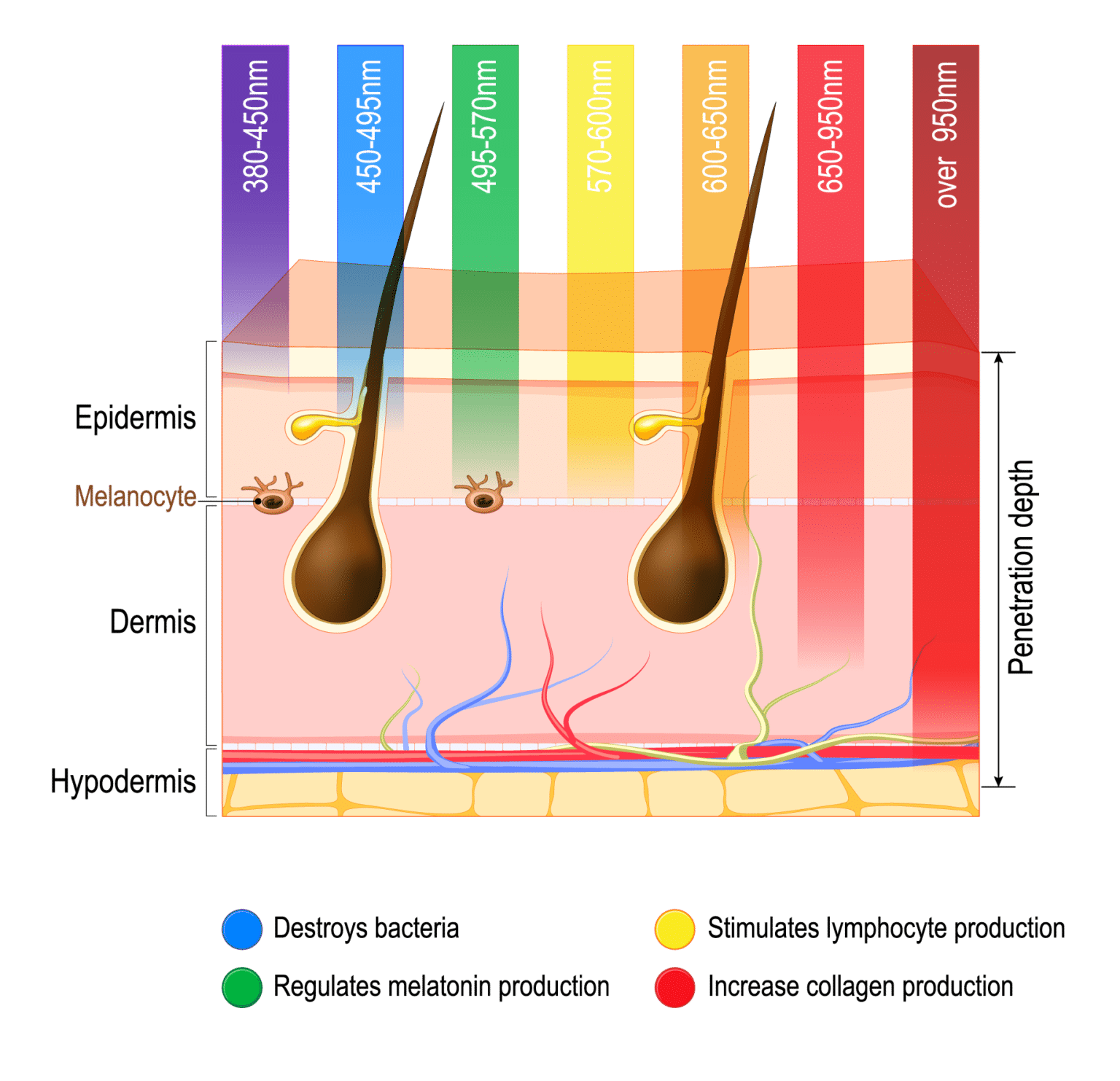 Čtyři vlnové délky a různé frekvence u fotobiomodulačních přístrojů